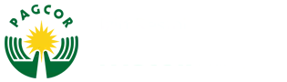 Kingtoto Pagcor